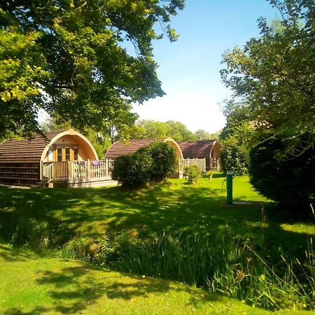 Campsie Glen Holiday Park Fintry エクステリア 写真