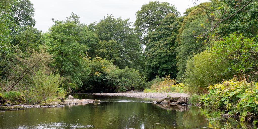 Campsie Glen Holiday Park Fintry エクステリア 写真